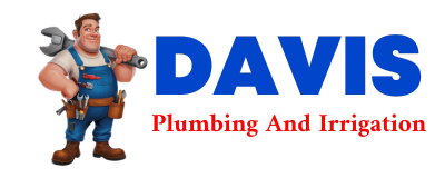 Trusted plumber in BORDEN